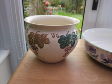 Royal Winton Toscana Sponge