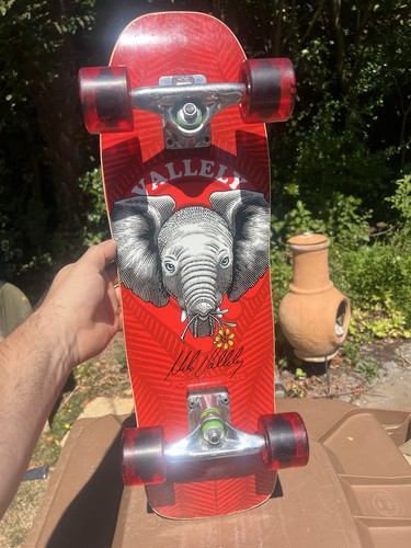 Mike vallely powell - powell, peralta