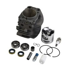 Cylinder Piston Kit W/ Fuel