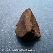 Triceratops Dinosaur