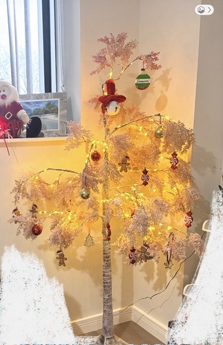 6ft pre lit blossom tree - pre-lit, with