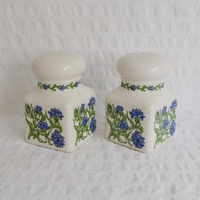 Vintage Taunton Vale Salt and