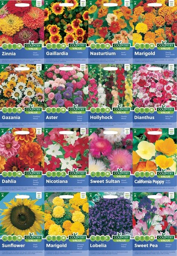 Flower seeds fothergills - seeds,
