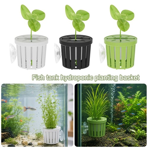 Water plant stand - stand, hanging