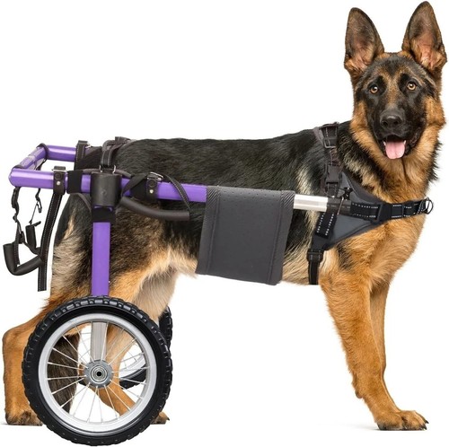 Used dog wheelchair for - used,