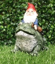 Gnome Riding frog 15cm x 11cm