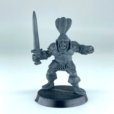 Hero Heinrich Lowen Warrior