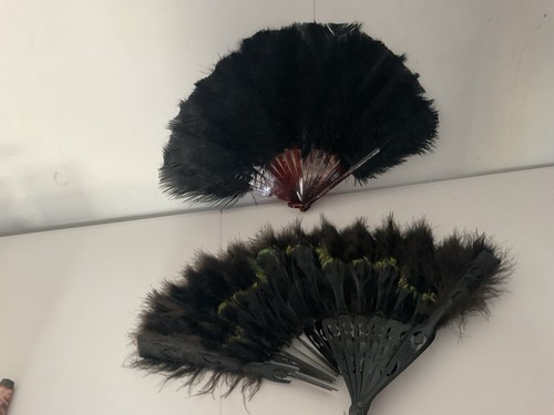 Vintage ostrich feather and - feather,