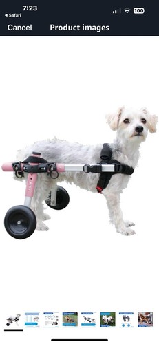 Walking pets small frame - walking,