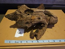 Large Bogwood Driftwood Root