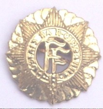 IRISH VOLUNTEERS CAP BADGE