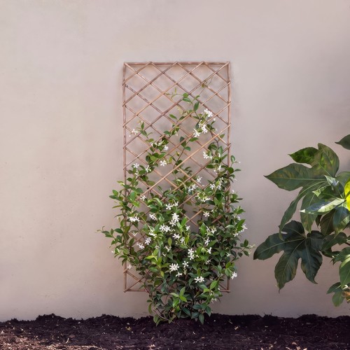 Primrose square natural - natural, willow