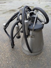Simplex stainless cow milking