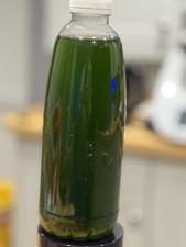 Live Phytoplankton Mix – Nannochloropsis & Tetraselmis Blend 1L |Reef Coral Food