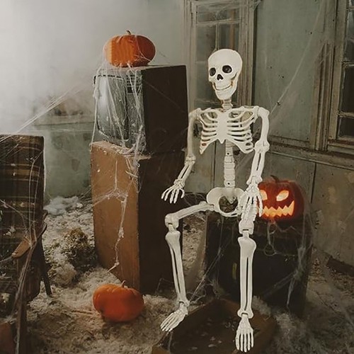 Halloween skeleton decoration - halloween,
