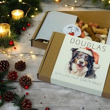 Border Collie Christmas Gift -
