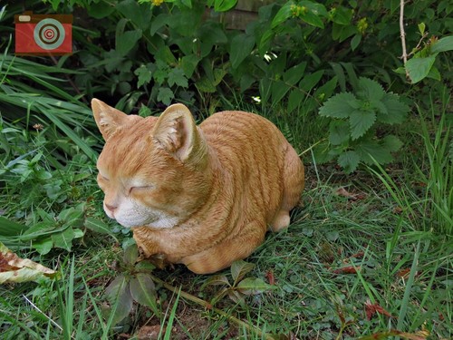 Dreaming ginger cat vivid - dreaming,