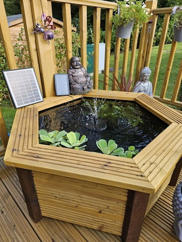 Hexagonal raised pond large - raised,