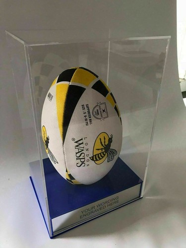 Rugby ball display case - display, grass