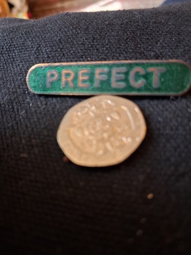 Prefect green enamel - enamel, vintage