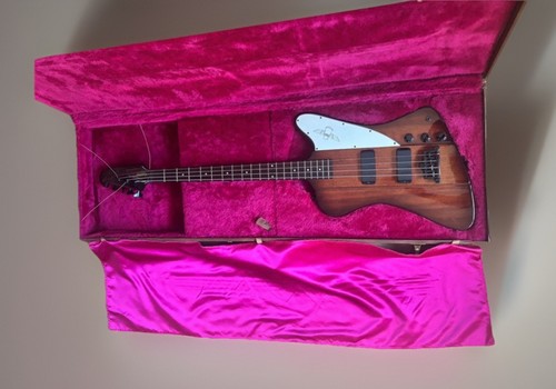 Epiphone thunderbird bass - epiphone,