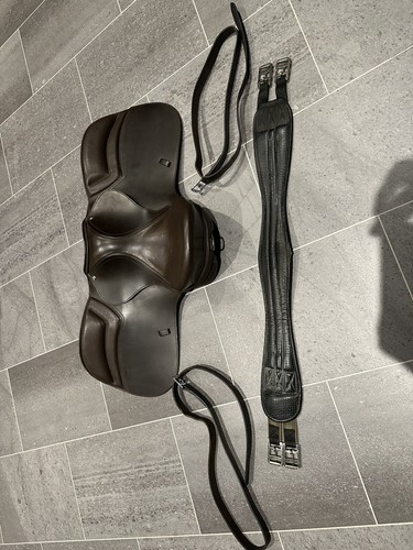 Used brown pony - /, saddle