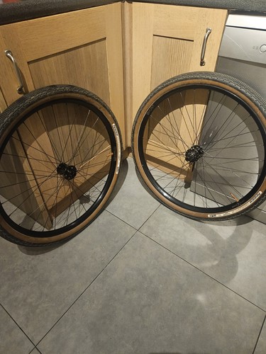 Mason hunt 650b - 650b, adventure