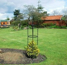 Garden Obelisk Trellis Feature Climbing Plant Roses Support Easy Steel Assembly