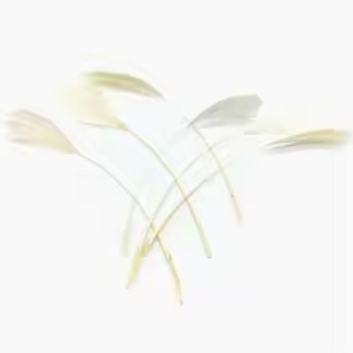 20pcs goose feathers ostrich - goose,