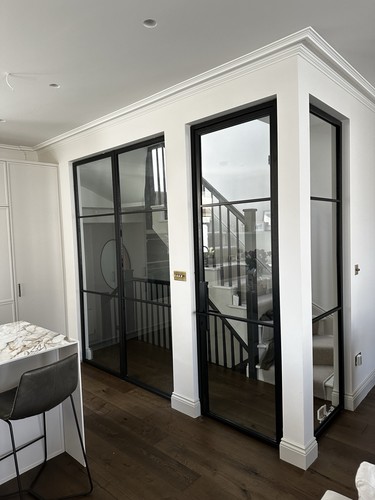 Steel crittal style glass - style, door