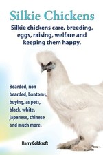 . SILKIE CHICKENS. SILKIE