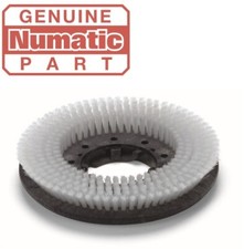Numatic NLL332 CARPET Brush