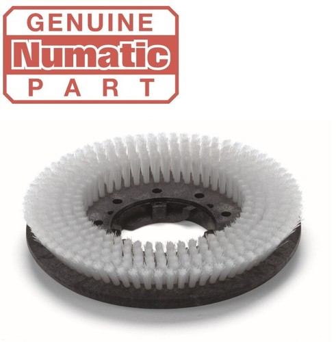 Numatic nll332 carpet brush - numatic,