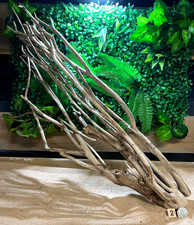 Talawa Wood Aquascaping