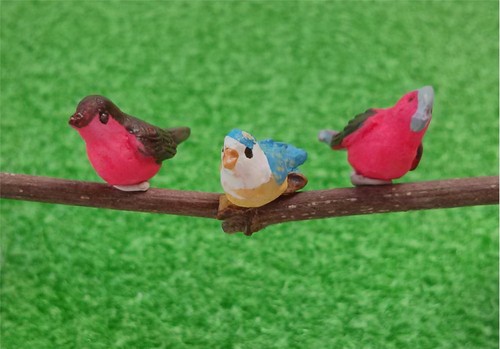 Set birds for 12th - set, scale