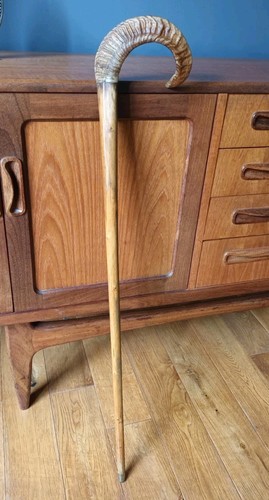 Vintage rams horn - rams,