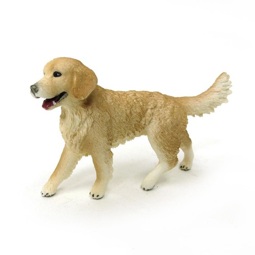 Female golden retriever farm - retriever,