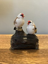 Singing Audio Goldfinch Bird