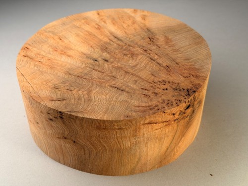 Burr elm wood - burr,