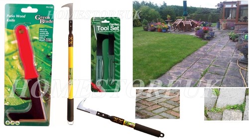 Garden patio slab groove weed - patio,
