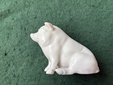 Irish Belleek Porcelain Pig