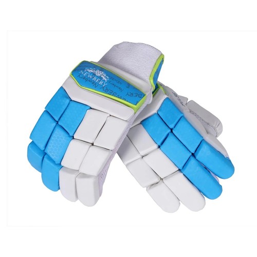 2026 newbery pulse - 2026,