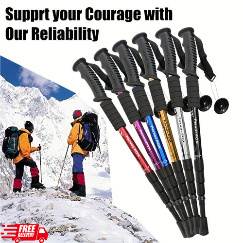 Nordic walking telescopic - walking,