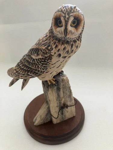 Border fine arts model - arts, a