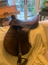 Kent and Masters equestrian