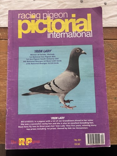 Racing pigeon pictorial - racing,