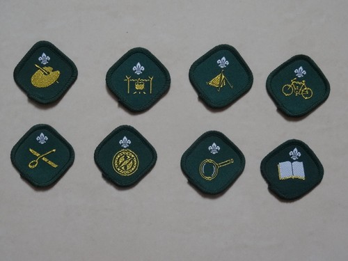 Scout proficiency badges - scout,