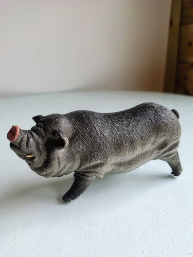 Pot bellied pig farm - pot,