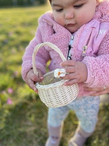 Easter basket egg - easter, basket,