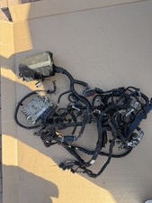 Engine Wiring Loom with ECU